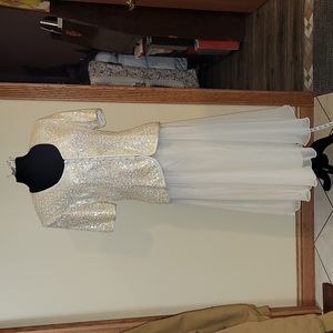 Sparkly top and sheer. Lined skirt. Karen Lawrence. Twirl tested.